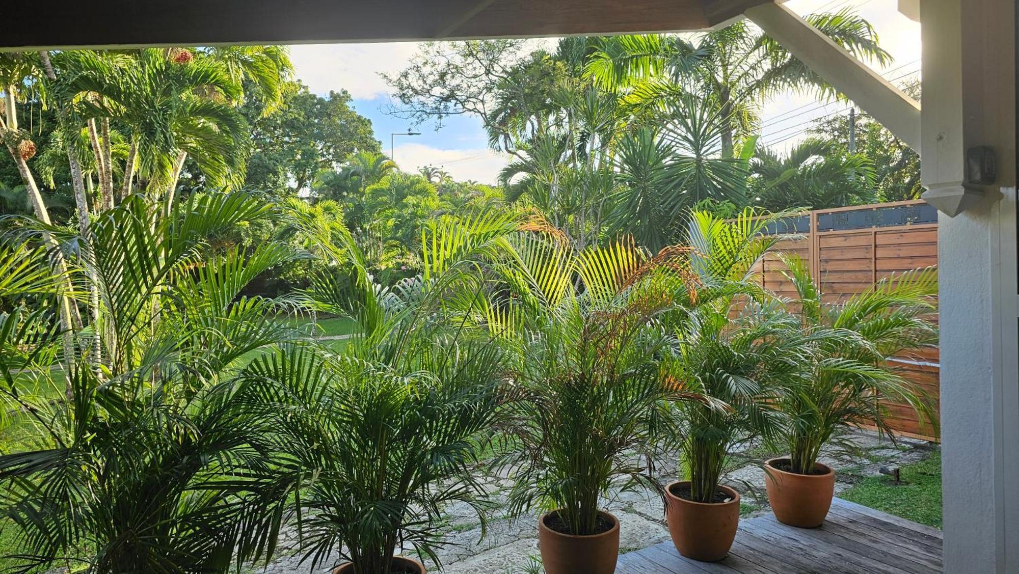 Habitation Villa Les Cassias 珀蒂堡 外观 照片