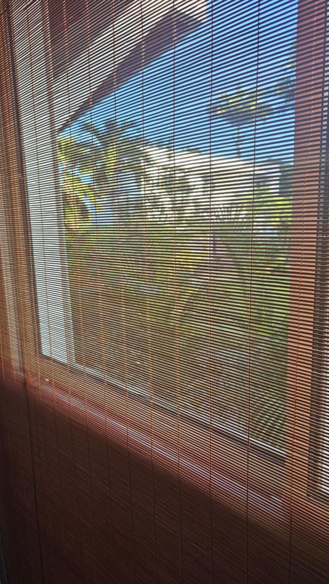 Habitation Villa Les Cassias 珀蒂堡 外观 照片