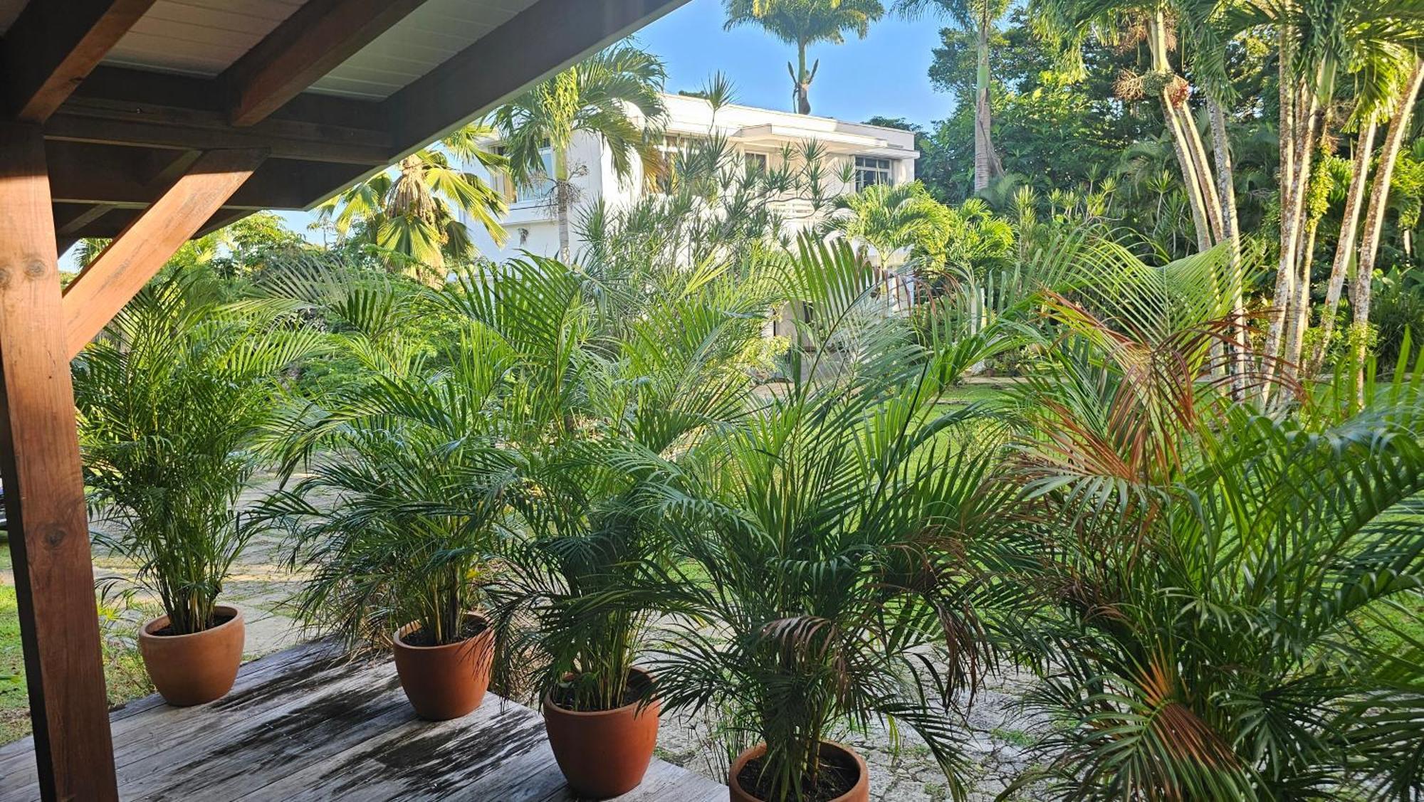 Habitation Villa Les Cassias 珀蒂堡 外观 照片