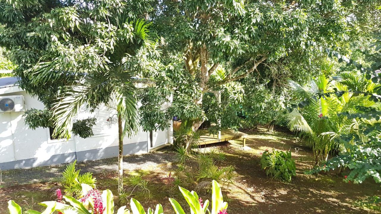 Habitation Villa Les Cassias 珀蒂堡 外观 照片